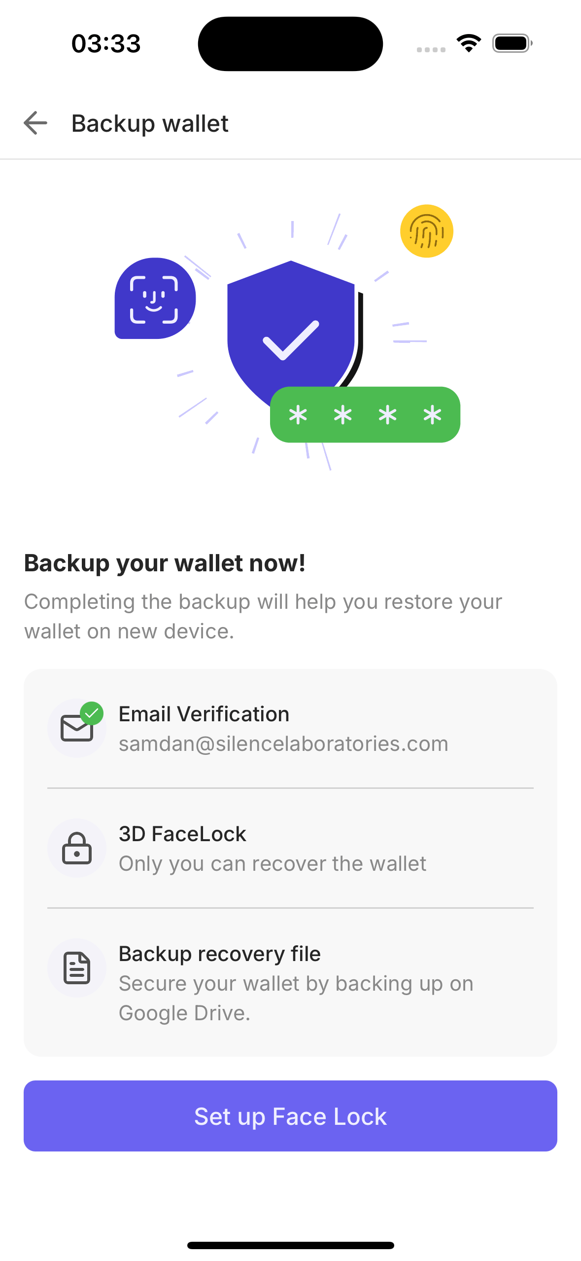Backup screen