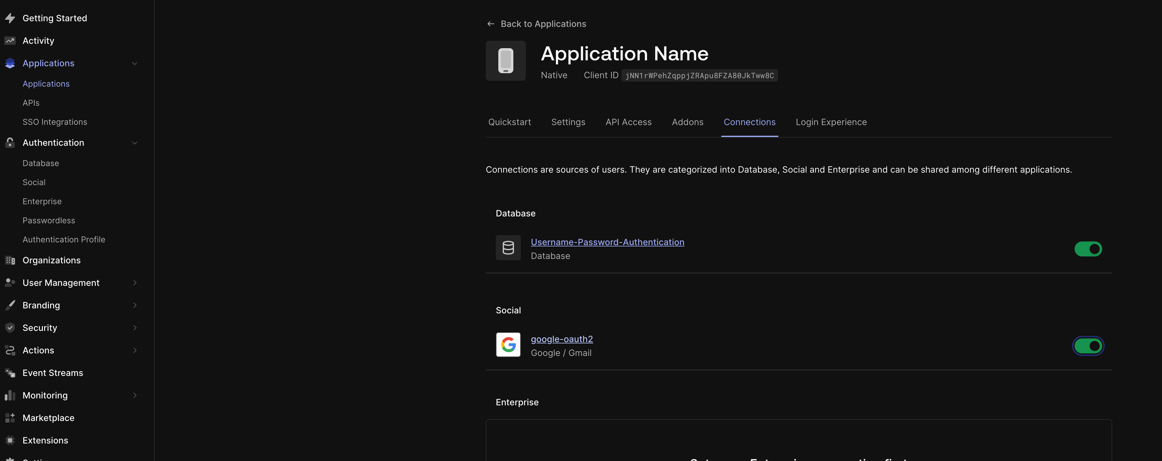 Auth0 Google social connection enabled for the application